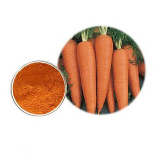 Polvo de zanahoria