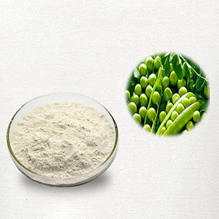 Proteína de guisante