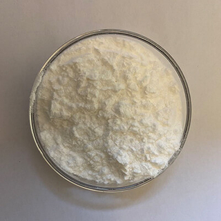 Pepsina